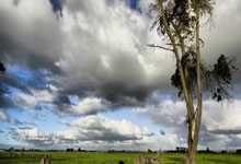 Zcash: Its Groundbreaking Vision, Price Predictions, and Why It Matters – What Reddit is Saying