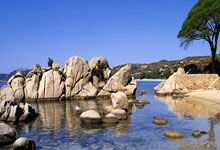 Dow Jones Futures & Nvidia Partner: Bulls' Dominance and Key Drivers